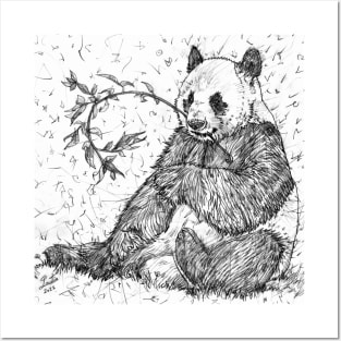 PANDA eating - pencil portrait Posters and Art